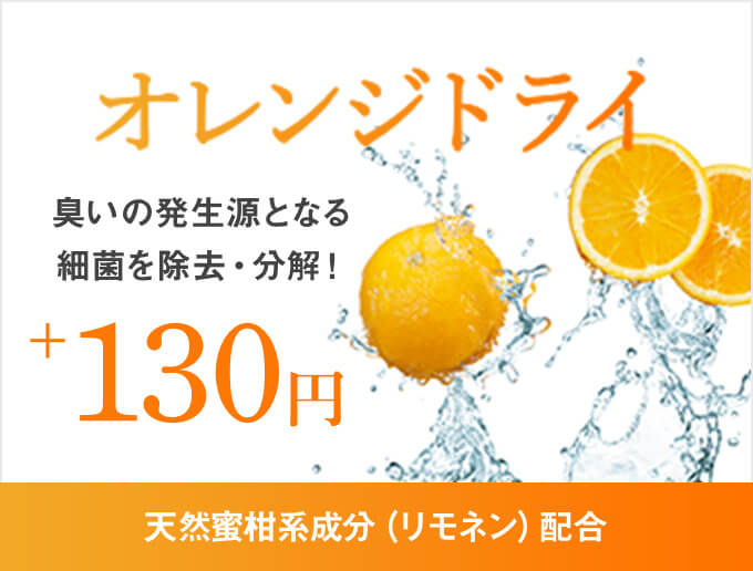 オレンジドライ 臭いの発生源となる細菌を除去・分解! +100円 天然蜜柑系成分(リモネン)配合